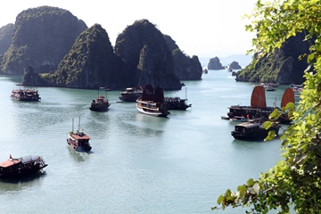 HaLong Bay One Day 