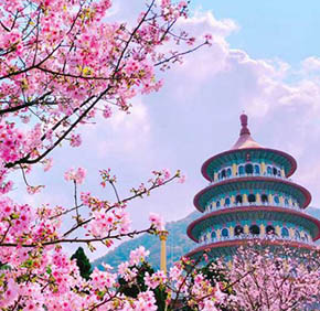 Tour Hà Nội Đài Loan ngắm hoa anh đào 5 ngày 4 đêm - bay Vietjet
