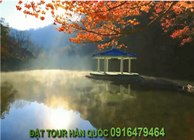 Tour Hàn Quốc mùa lá đỏ  5 ngày 4 đêm- Seoul- Nami-Everland-Cầu Thủy Tinh